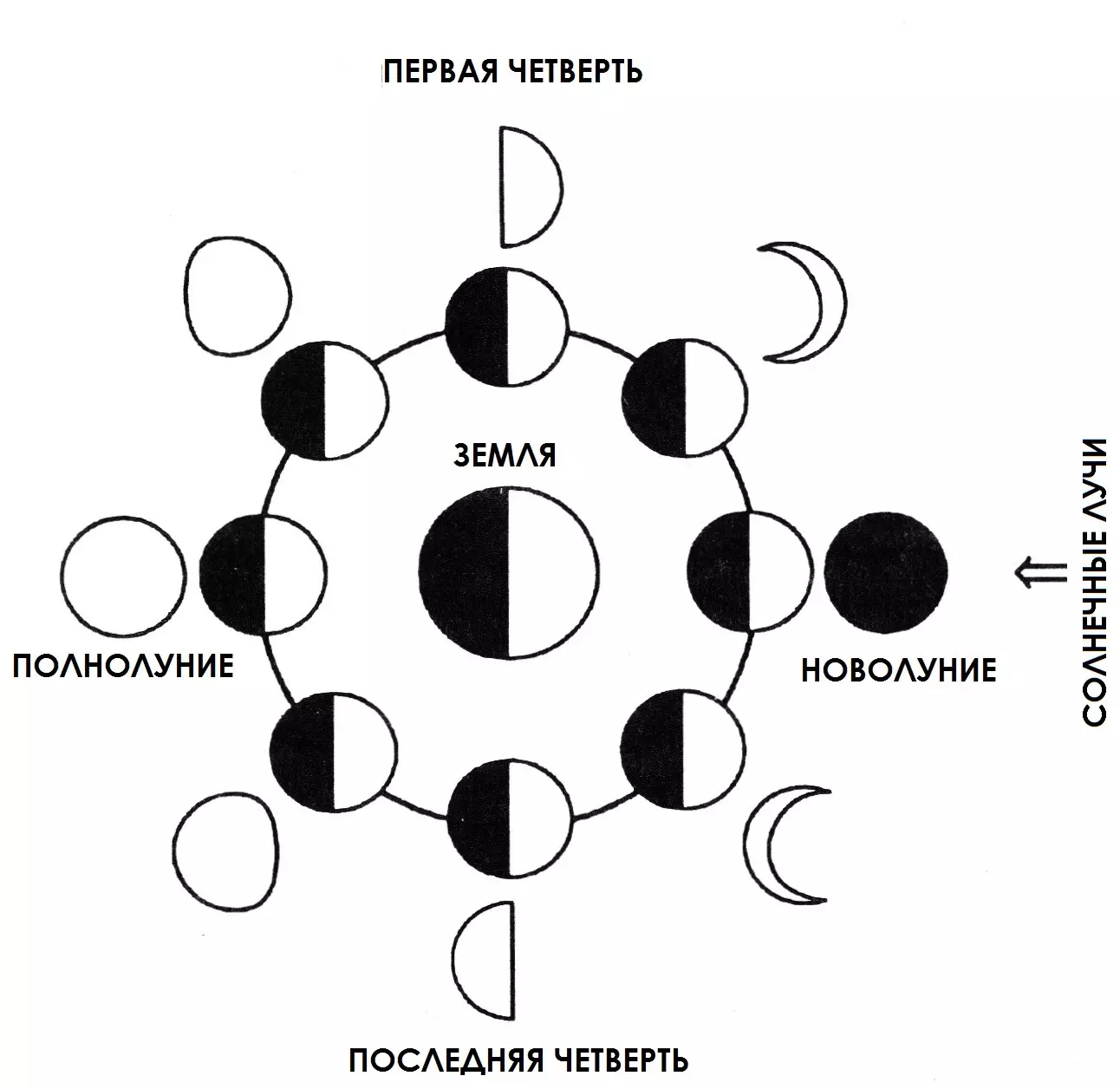 Фазы Луны